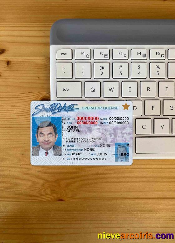 USA South Dakota driving license photolook